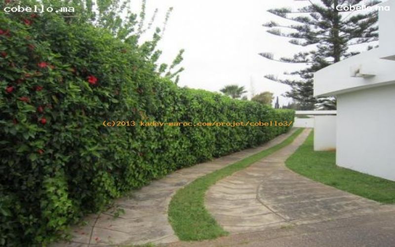ea_2361d