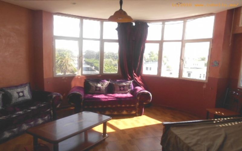 ea_appartement_en_location_studion_en_location___7